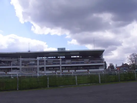 Finishing post and the Royal box (Yellowish, bay fronted building seen through the frame for jockeys' names.)