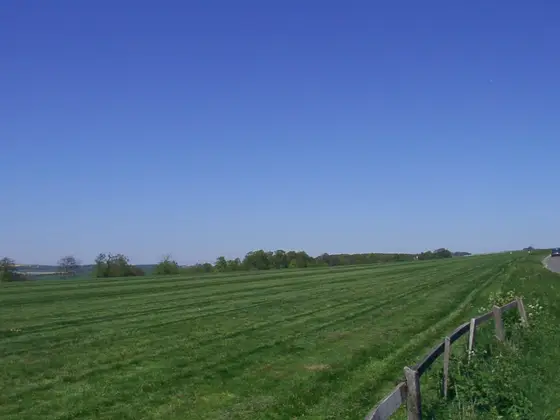 These are the "gallops" where the race-horses practise.